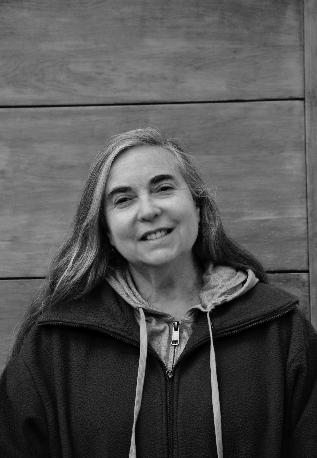 Soledad Santolaya C.